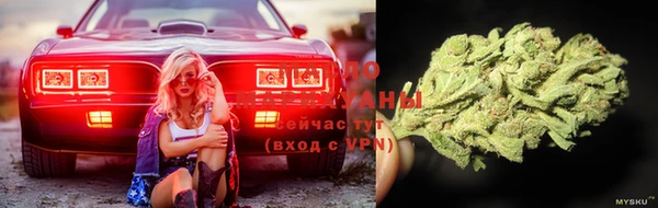 apvp Болохово