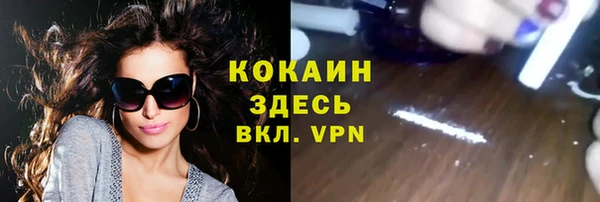 крисы Аркадак