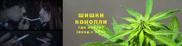 крисы Аркадак