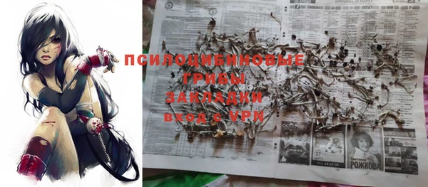 apvp Болохово